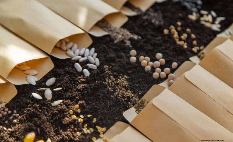Troubleshooting Spring Seed Germination: 21 Common Issues & Solutions