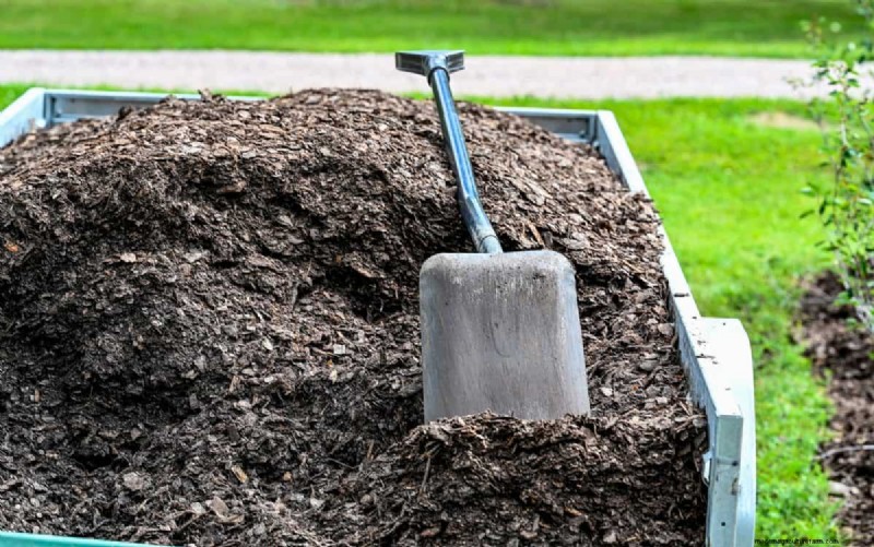 Troubleshooting Spring Seed Germination: 21 Common Issues & Solutions