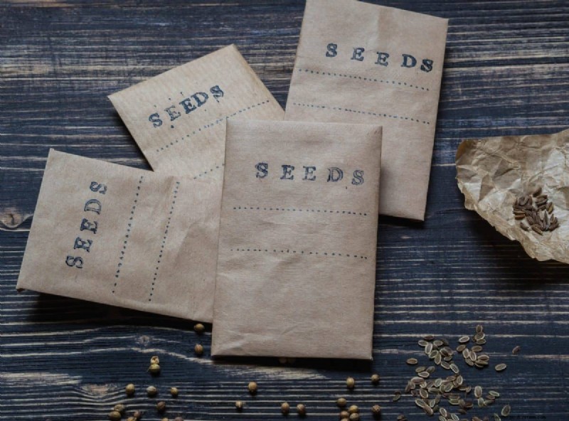 Troubleshooting Spring Seed Germination: 21 Common Issues & Solutions