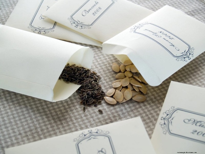 Troubleshooting Spring Seed Germination: 21 Common Issues & Solutions
