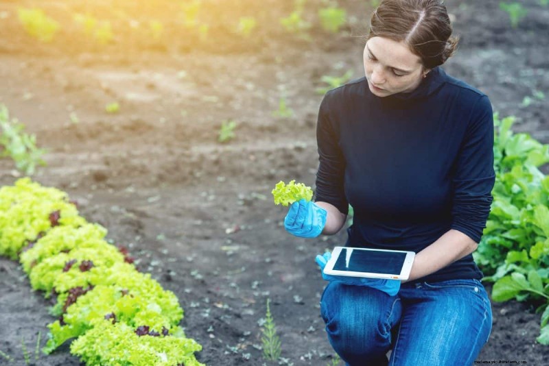 Troubleshooting Spring Seed Germination: 21 Common Issues & Solutions