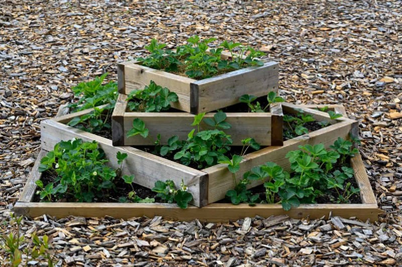 Innovative Gardening Techniques: Science-Backed Tips for a Bountiful Harvest