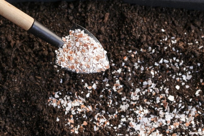 Innovative Gardening Techniques: Science-Backed Tips for a Bountiful Harvest