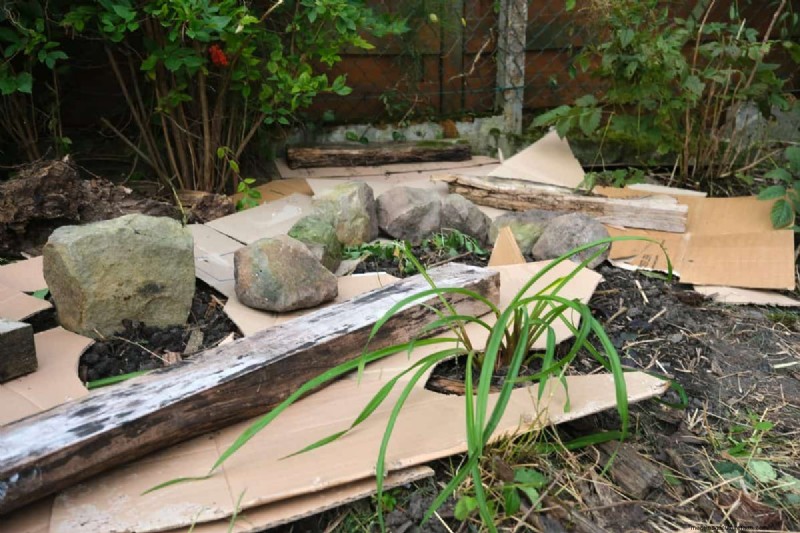 Innovative Gardening Techniques: Science-Backed Tips for a Bountiful Harvest