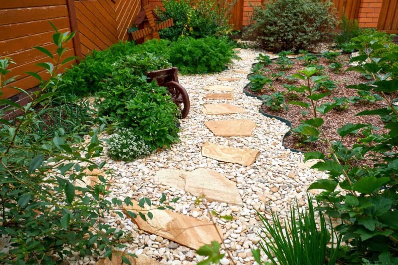 Innovative Gardening Techniques: Science-Backed Tips for a Bountiful Harvest