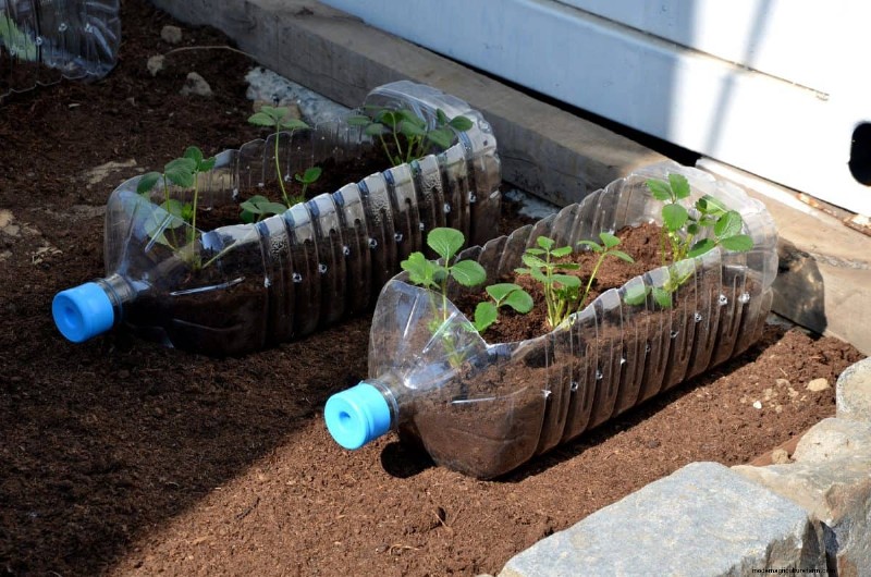 Innovative Gardening Techniques: Science-Backed Tips for a Bountiful Harvest