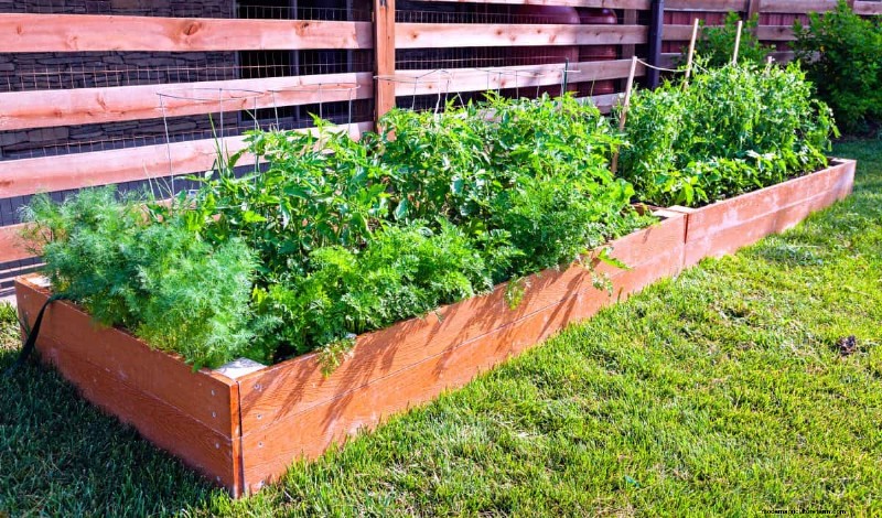 Innovative Gardening Techniques: Science-Backed Tips for a Bountiful Harvest