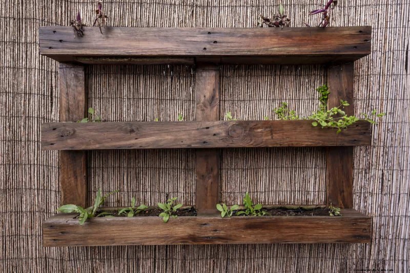 Innovative Gardening Techniques: Science-Backed Tips for a Bountiful Harvest