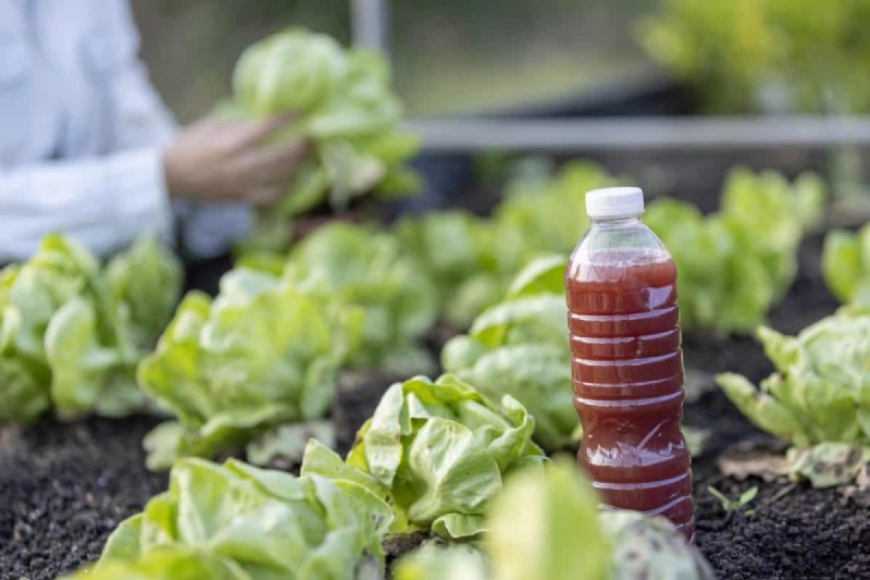 Innovative Gardening Techniques: Science-Backed Tips for a Bountiful Harvest
