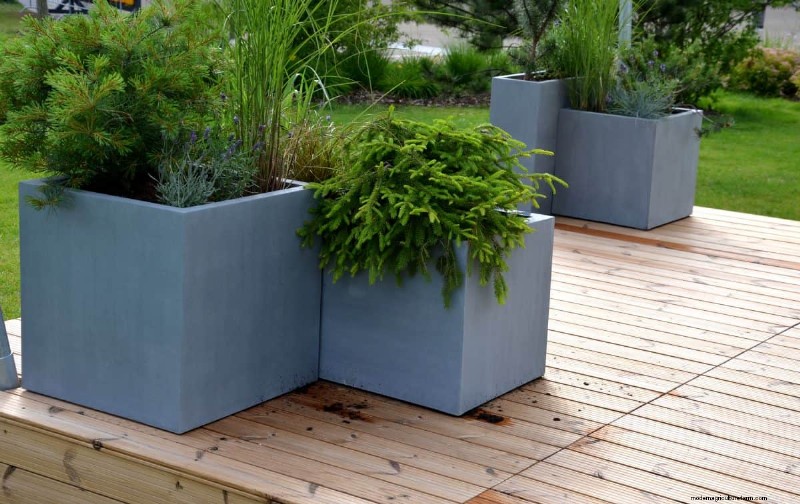 Innovative Gardening Techniques: Science-Backed Tips for a Bountiful Harvest