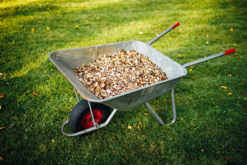 Shrub Mulching: A Comprehensive Guide to Best Practices
