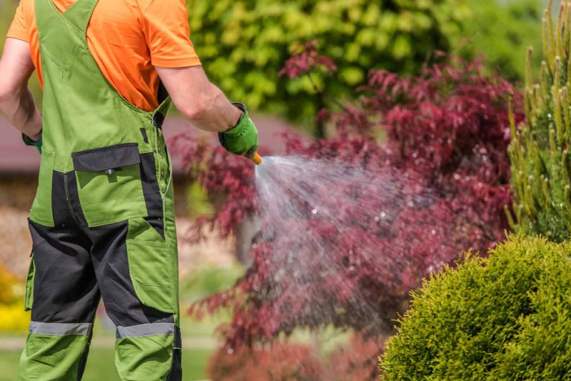 Shrub Mulching: A Comprehensive Guide to Best Practices
