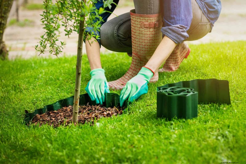 Shrub Mulching: A Comprehensive Guide to Best Practices