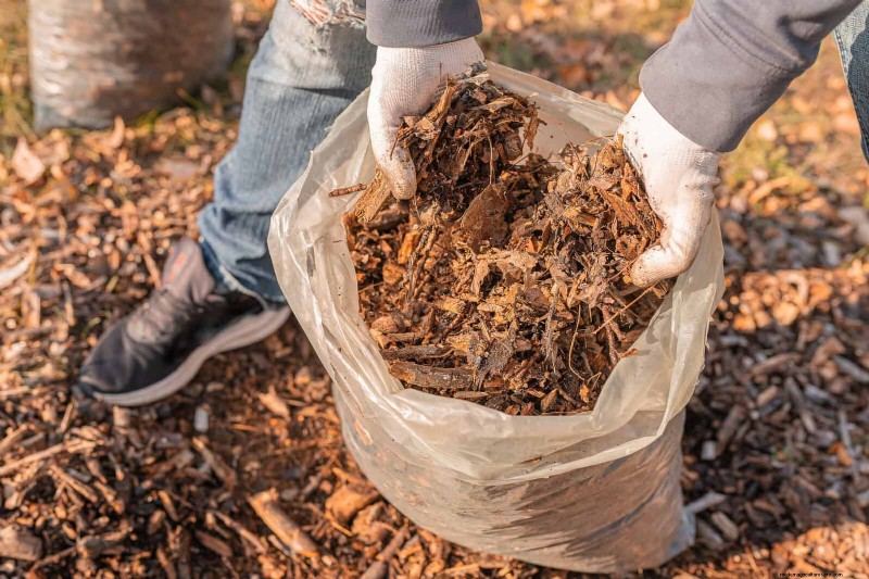 Shrub Mulching: A Comprehensive Guide to Best Practices