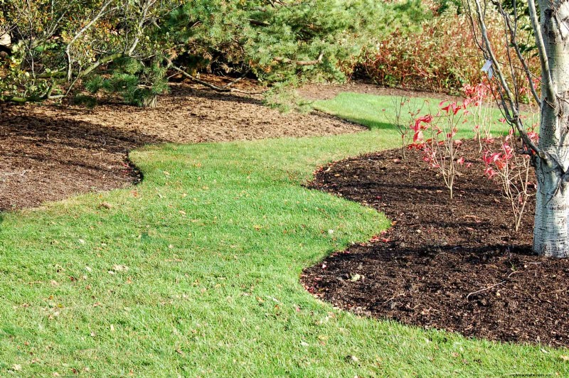 Shrub Mulching: A Comprehensive Guide to Best Practices