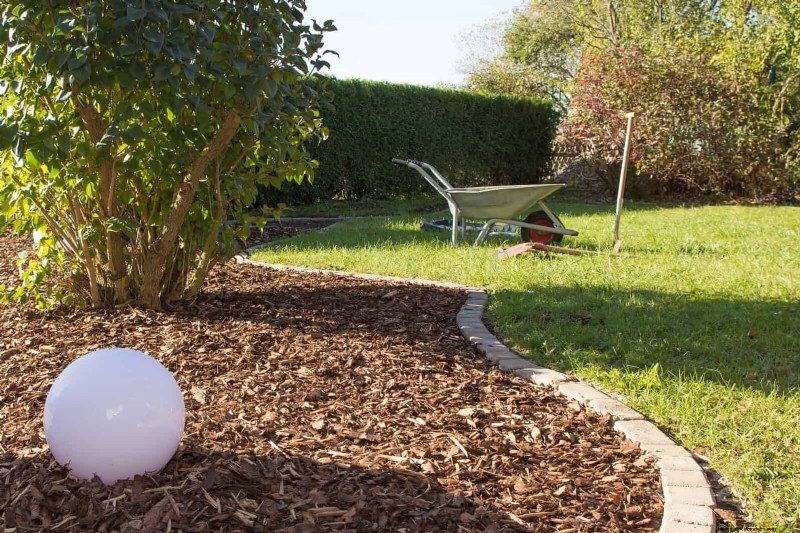 Shrub Mulching: A Comprehensive Guide to Best Practices