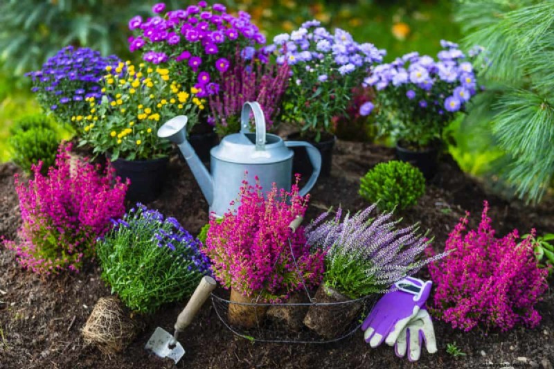 Spring Planting Guide: Optimal Timing for Your Garden Zone