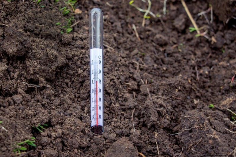 Spring Planting Guide: Optimal Timing for Your Garden Zone