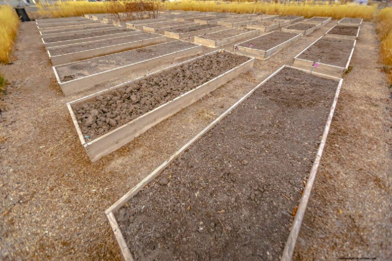 Spring Planting Guide: Optimal Timing for Your Garden Zone