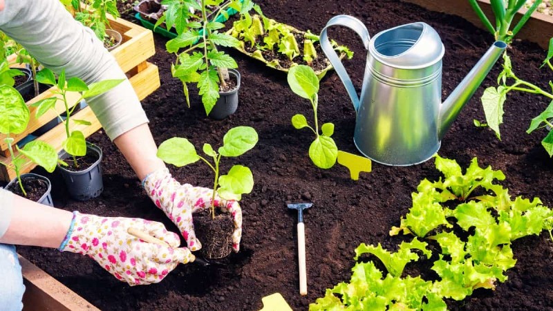 Spring Planting Guide: Optimal Timing for Your Garden Zone