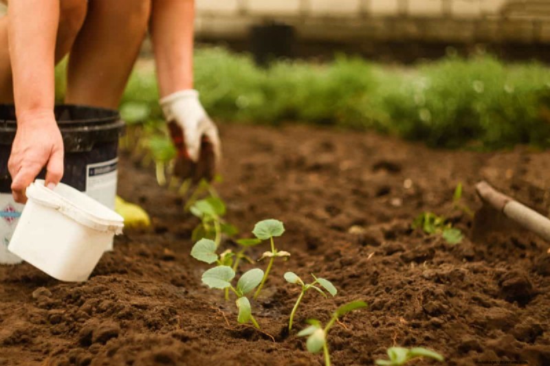 Spring Planting Guide: Optimal Timing for Your Garden Zone