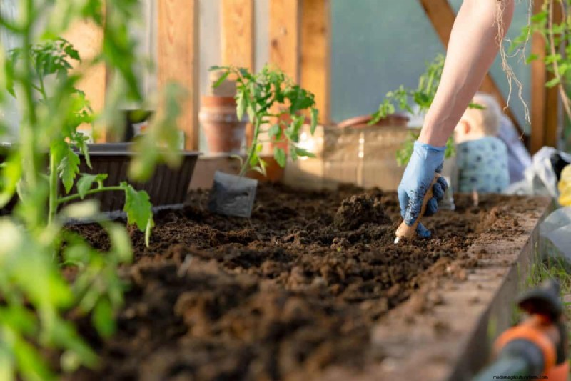 Spring Planting Guide: Optimal Timing for Your Garden Zone