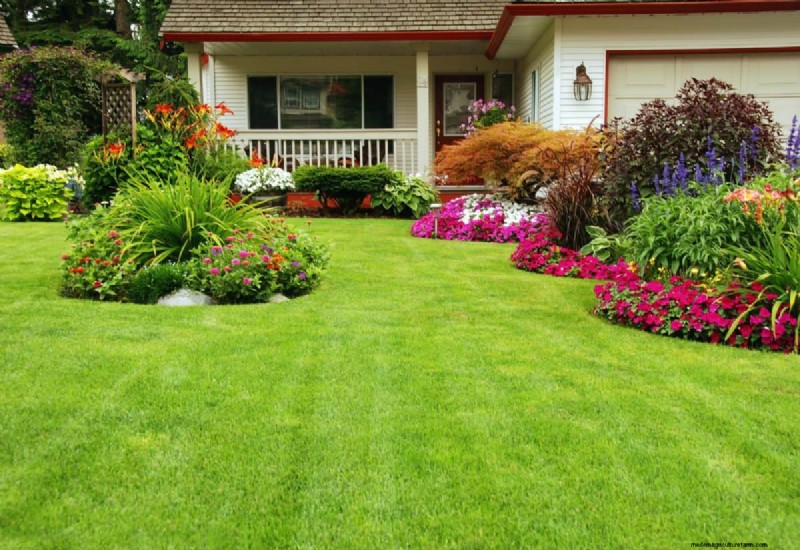 Spring Planting Guide: Optimal Timing for Your Garden Zone