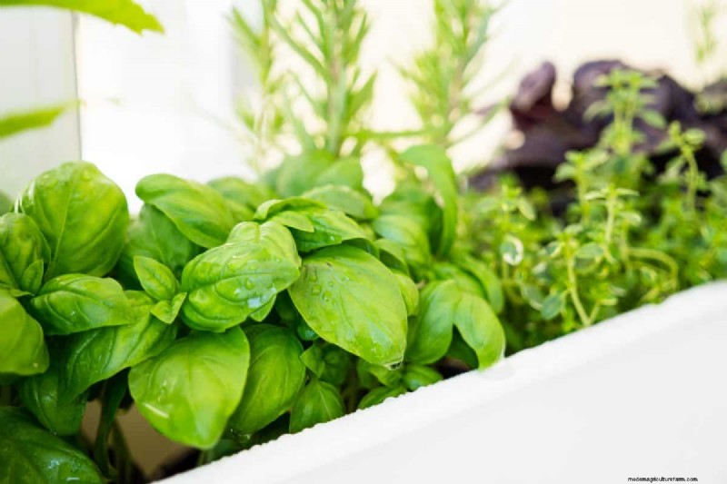 Spring Planting Guide: Optimal Timing for Your Garden Zone