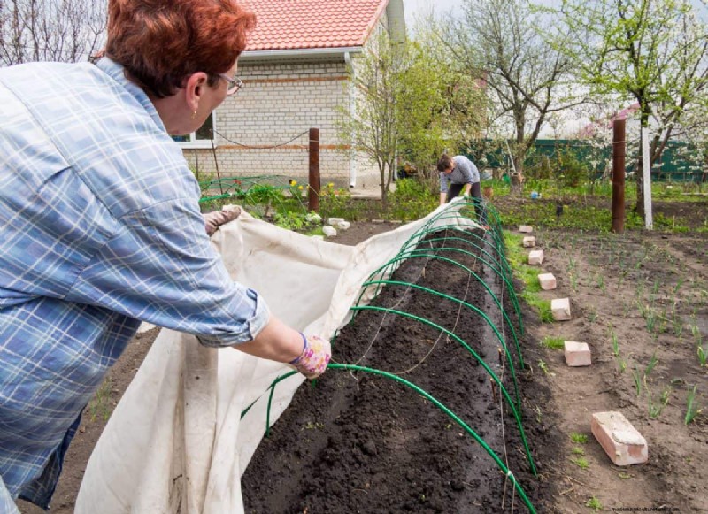 Spring Planting Guide: Optimal Timing for Your Garden Zone