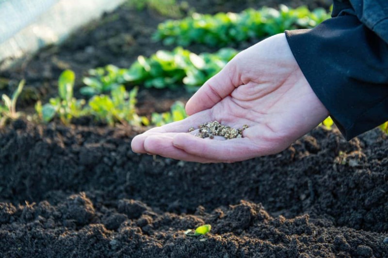 Spring Planting Guide: Optimal Timing for Your Garden Zone