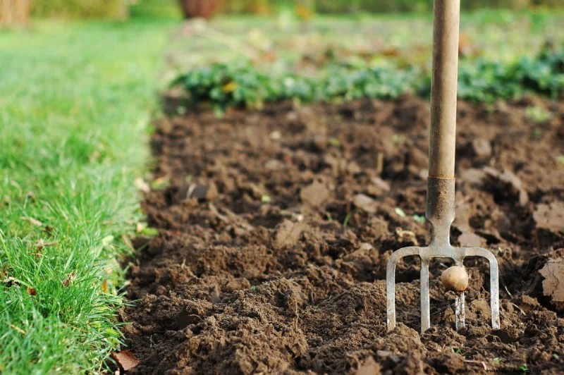 Prepare Your Garden Beds for Spring: 22 Expert Tips