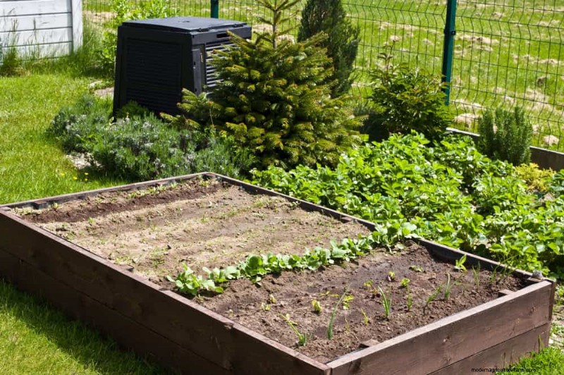 Prepare Your Garden Beds for Spring: 22 Expert Tips