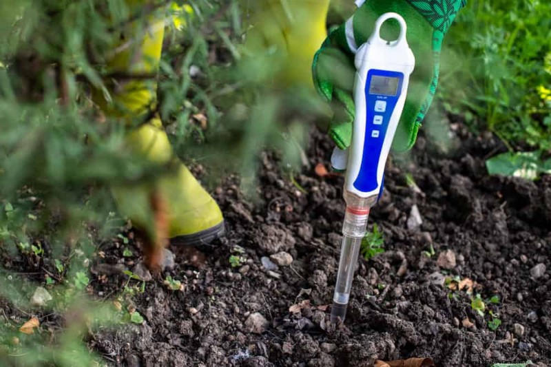 Prepare Your Garden Beds for Spring: 22 Expert Tips