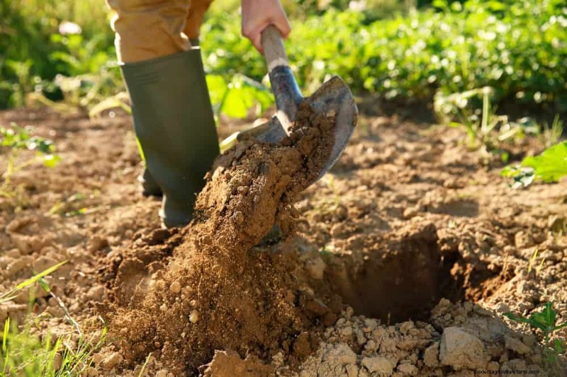 Prepare Your Garden Beds for Spring: 22 Expert Tips