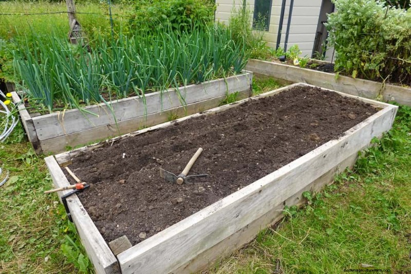 Prepare Your Garden Beds for Spring: 22 Expert Tips