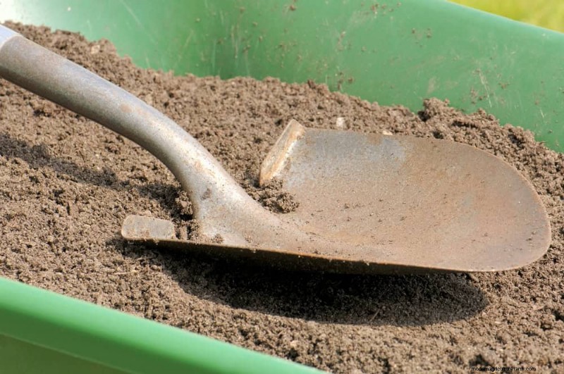 Prepare Your Garden Beds for Spring: 22 Expert Tips
