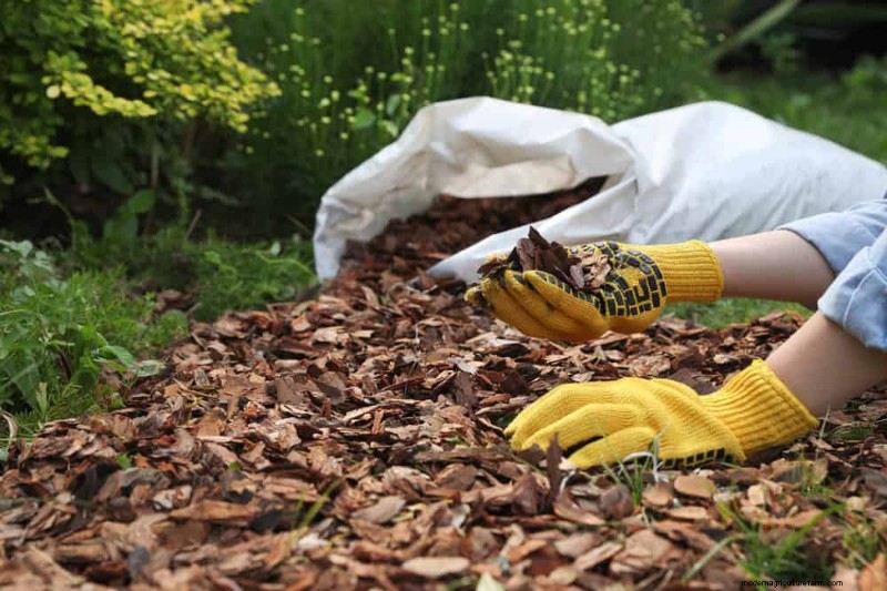 Prepare Your Garden Beds for Spring: 22 Expert Tips