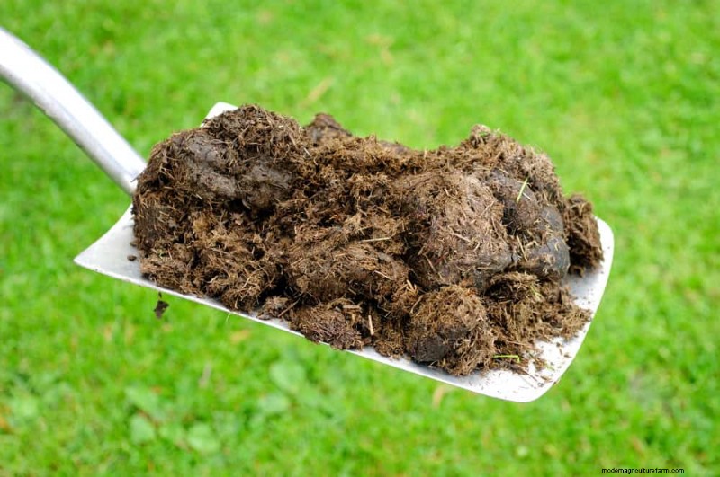 Prepare Your Garden Beds for Spring: 22 Expert Tips