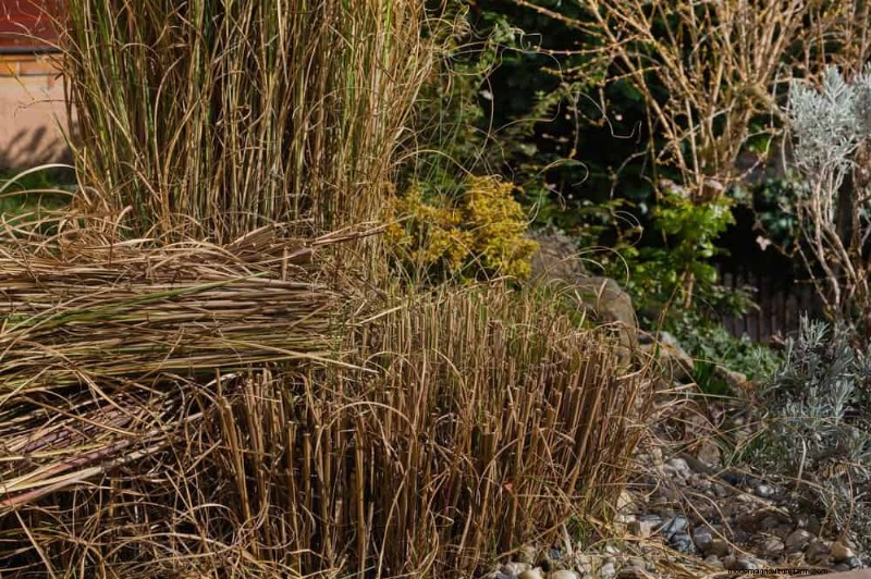 Prepare Your Garden Beds for Spring: 22 Expert Tips