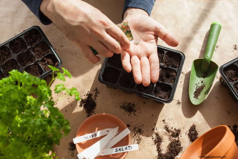 Prepare Your Garden Beds for Spring: 22 Expert Tips