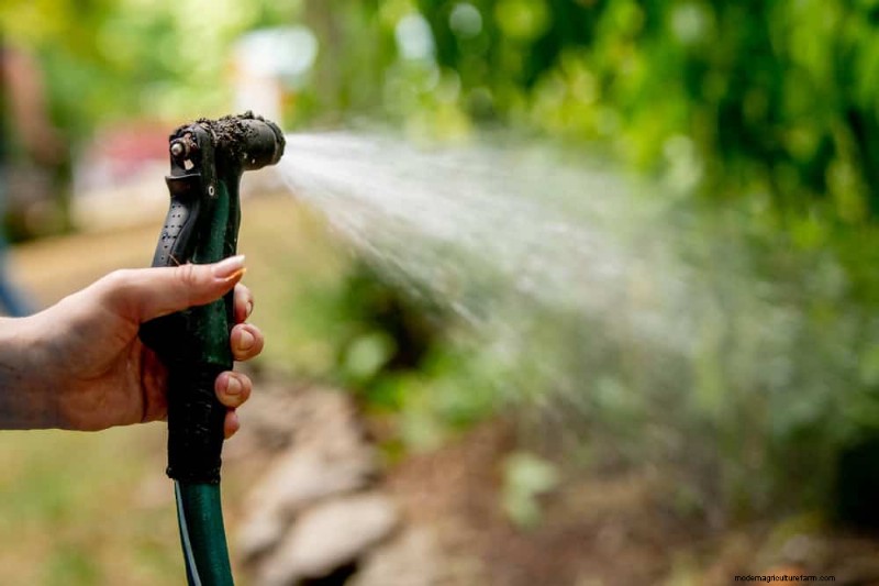 Prepare Your Garden Beds for Spring: 22 Expert Tips