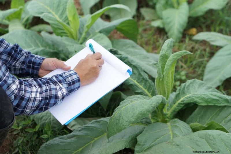 Prepare Your Garden Beds for Spring: 22 Expert Tips