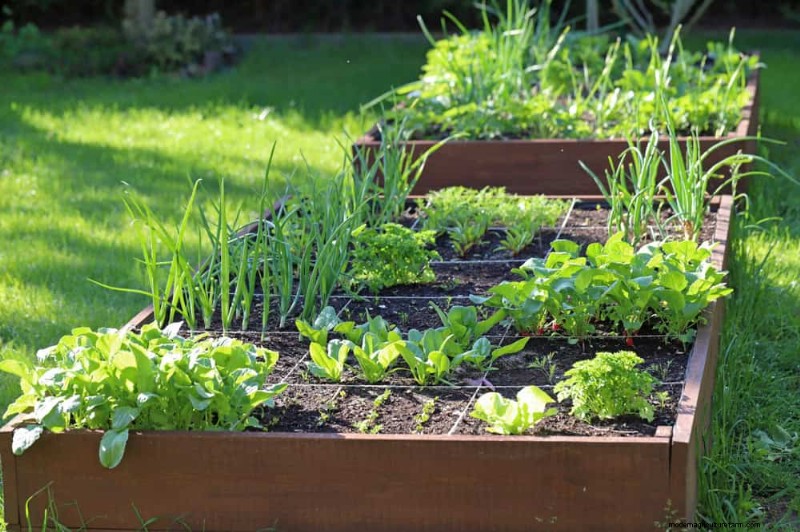 Prepare Your Garden Beds for Spring: 22 Expert Tips