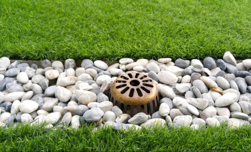 Improve Garden Drainage: 21 No-Dig Solutions for Healthier Plants