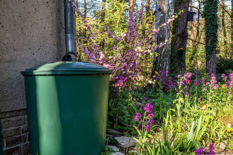 Improve Garden Drainage: 21 No-Dig Solutions for Healthier Plants