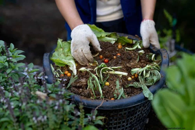 Improve Garden Drainage: 21 No-Dig Solutions for Healthier Plants