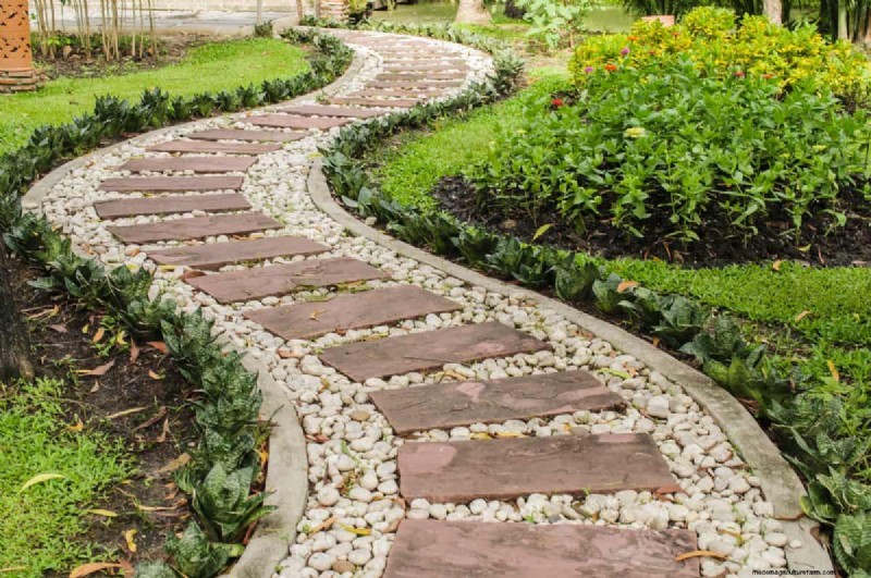 Improve Garden Drainage: 21 No-Dig Solutions for Healthier Plants