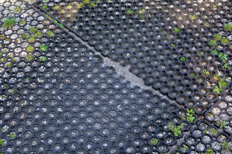Improve Garden Drainage: 21 No-Dig Solutions for Healthier Plants