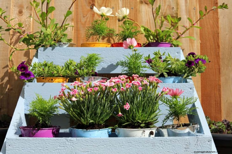 Improve Garden Drainage: 21 No-Dig Solutions for Healthier Plants