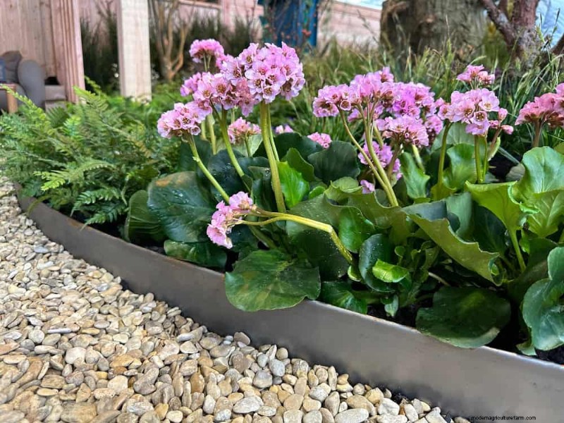 Improve Garden Drainage: 21 No-Dig Solutions for Healthier Plants